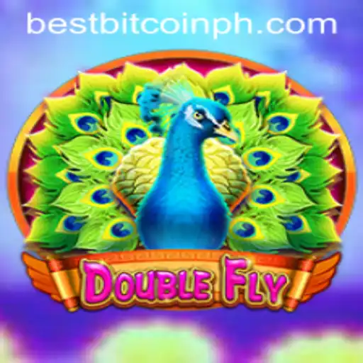 Unraveling DoubleFly: The Best Bitcoin Game