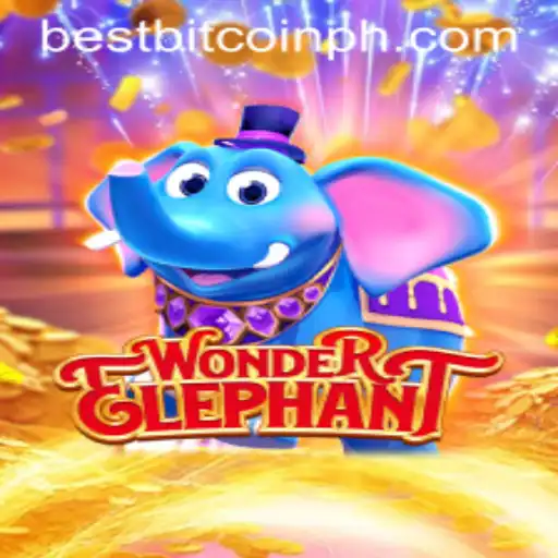 Exploring the Wonders of WonderElephant and the Impact of Bitcoin